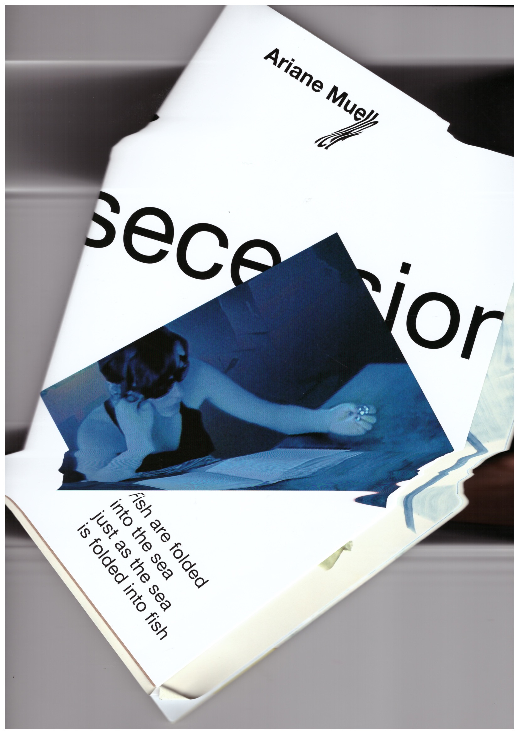 MUELLER, Ariane - Fish are folded into the sea just as the sea is folded into fish